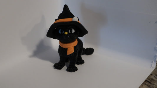Cat With A Hat