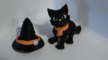 Cat With A Hat